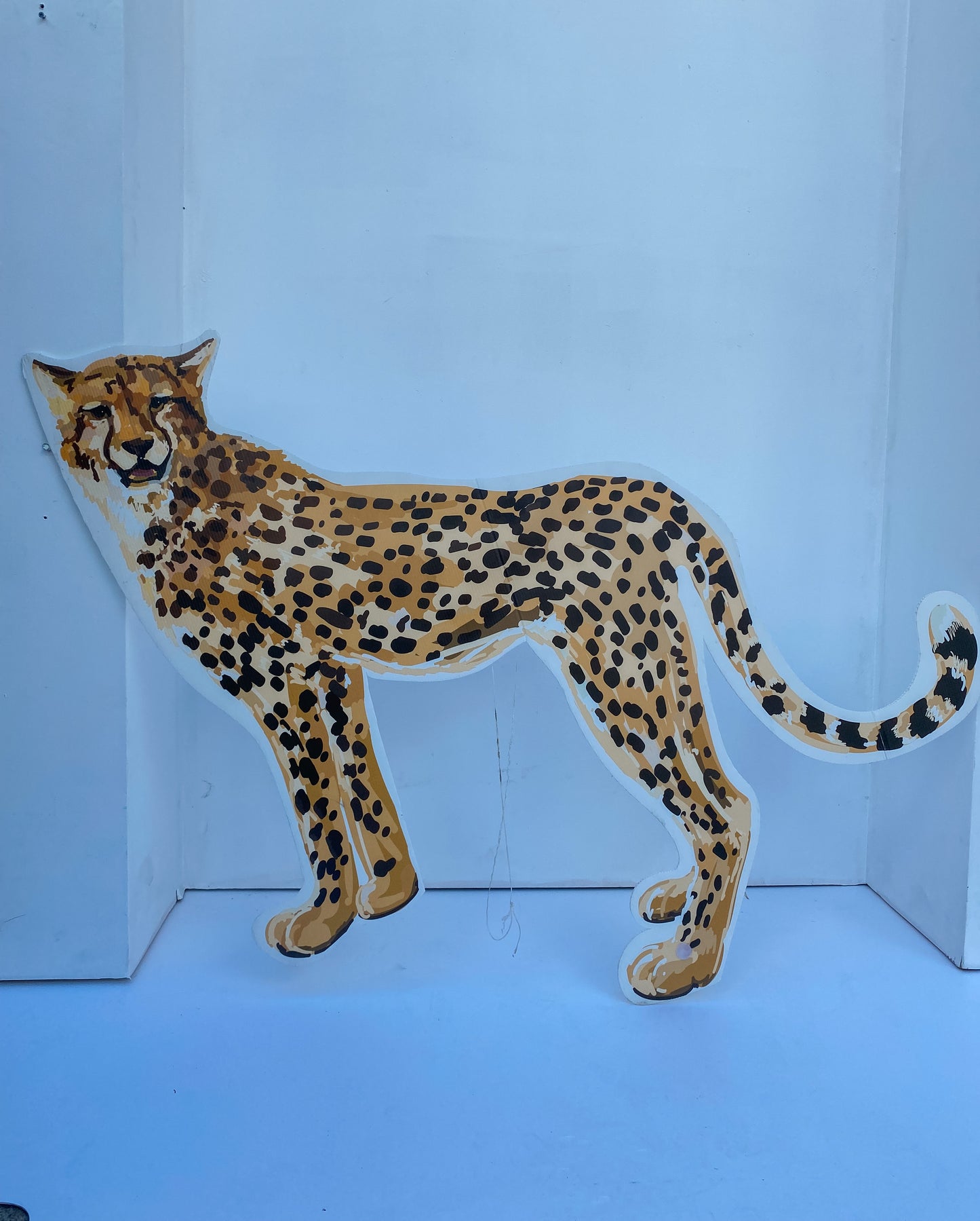 Cheetah Cut Out