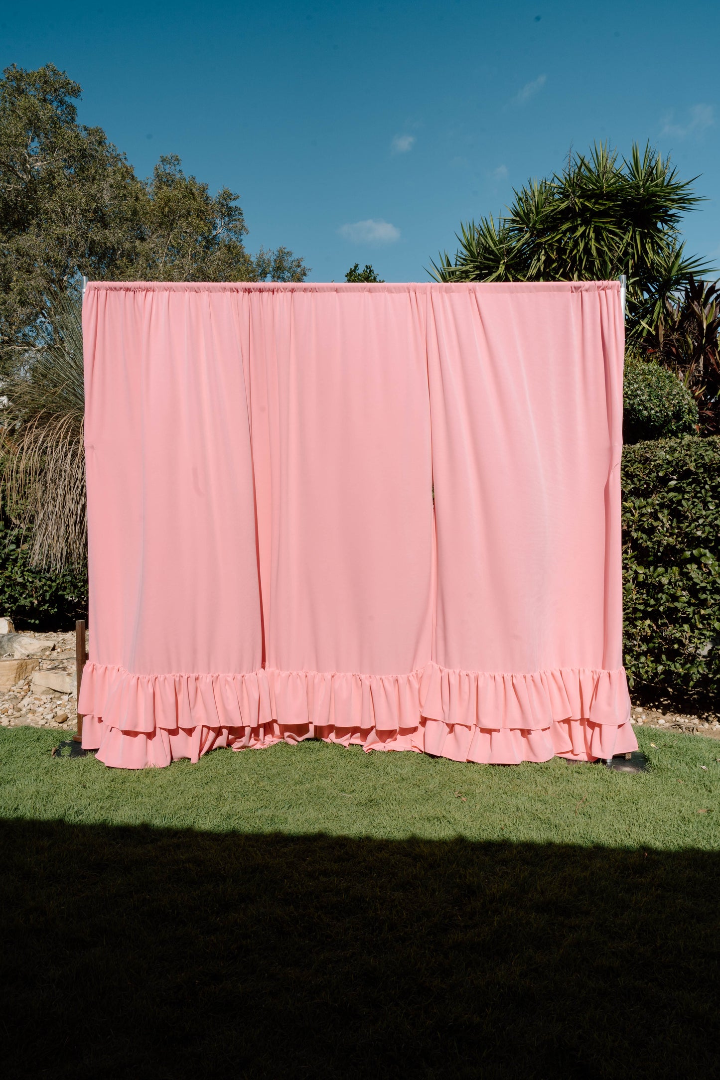 Pink frill backdrop